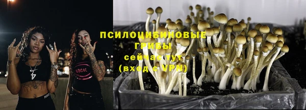 spice Липки